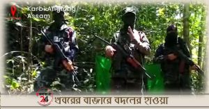 dnla militant of assam