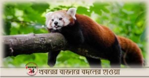 Yumthang Valley red ponda