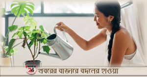 Gorgeous Green Living Rooms And Tips