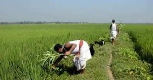 Bengali Ritual