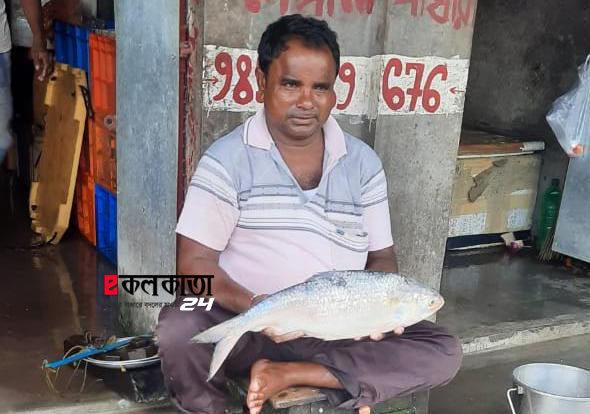 Big size hilsa caught in the nets in uluberia