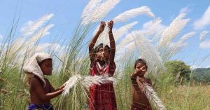 The rainy season is leaving Bengal