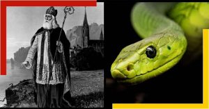 There are no snakes in Ireland