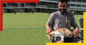 virat with cat