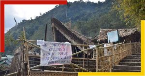 nagaland village incident