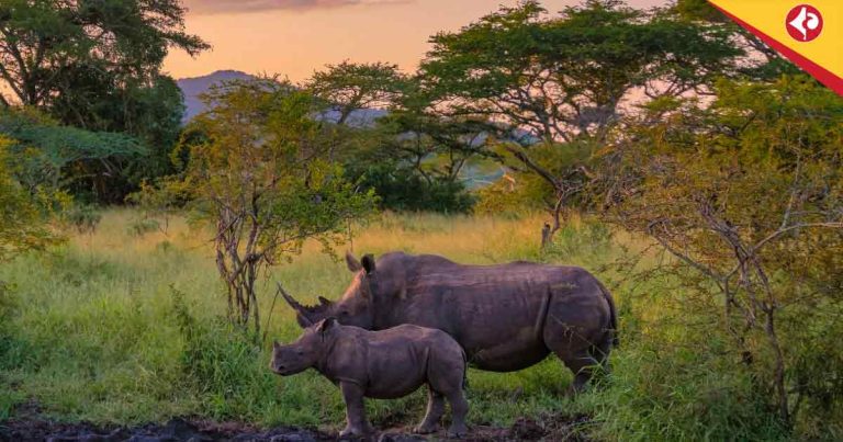 Dooars Forests, Wildlife Breeding, Three-Month Closure, Tourism Halt