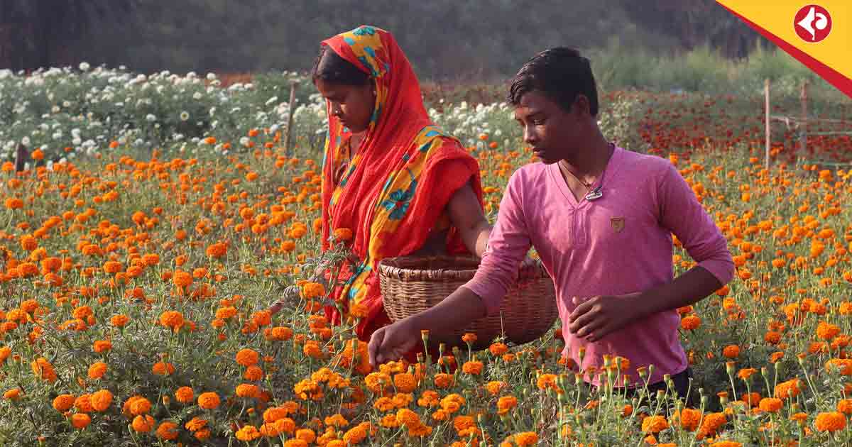 Mamata Banerjee Flower Market in Debra Lies Unused 4 Years After Inauguration