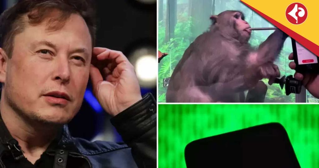 Neuralink Claims Success in Monkey Brain Test