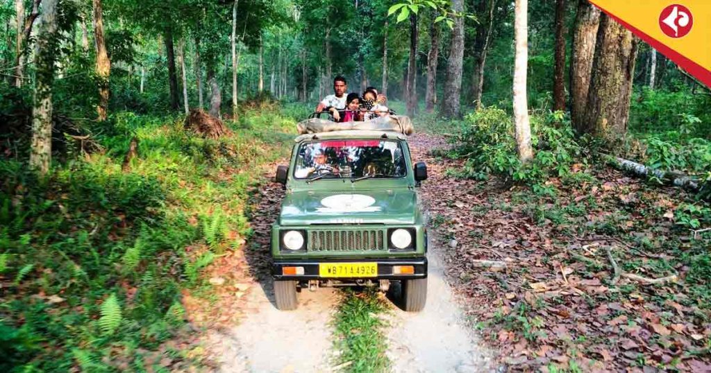 Gorumara National Park,Kaziranga , Anti-poaching measures in Bengal, Forest department surveillance